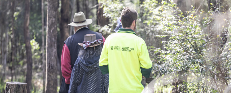 BLT- Dharug planting to re-establish gardens