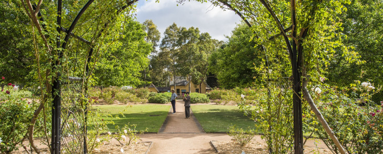 Rumsey Rose Garden