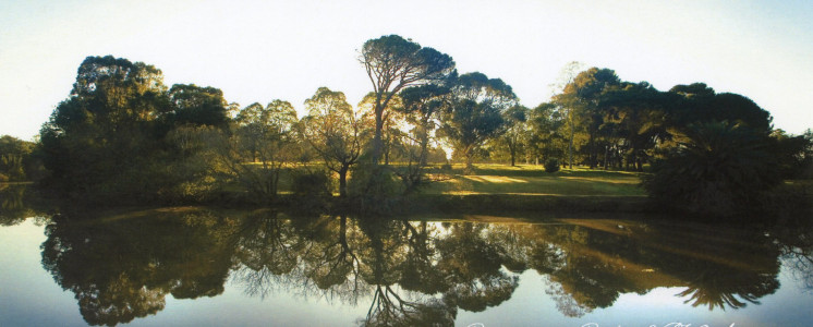Parramatta River David Liddle